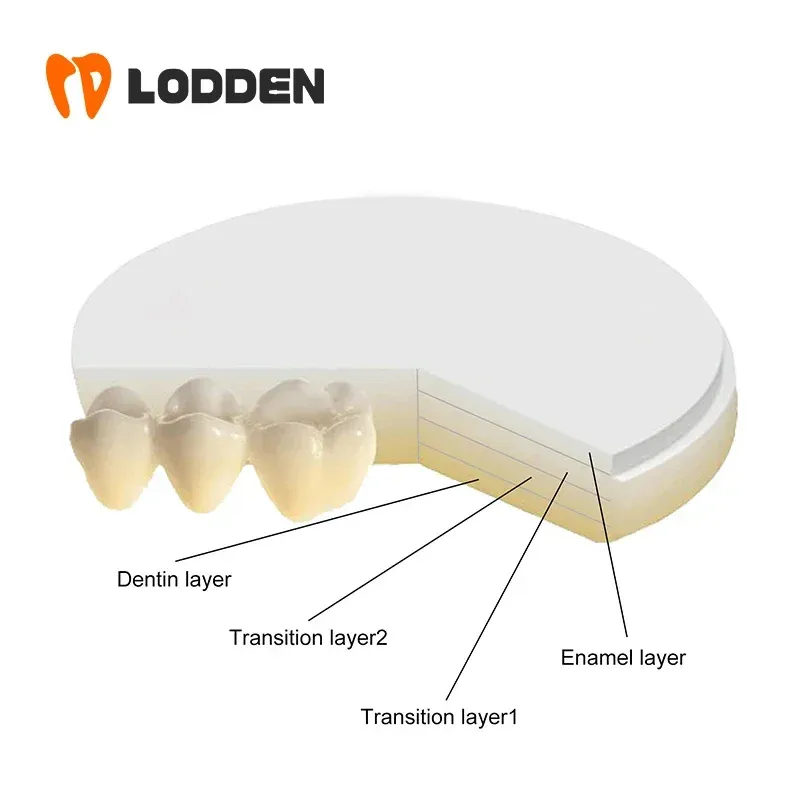 DHgate.com:LODDEN 3D Pro Multilayer Zirconia Blocks for Dental Labs ...