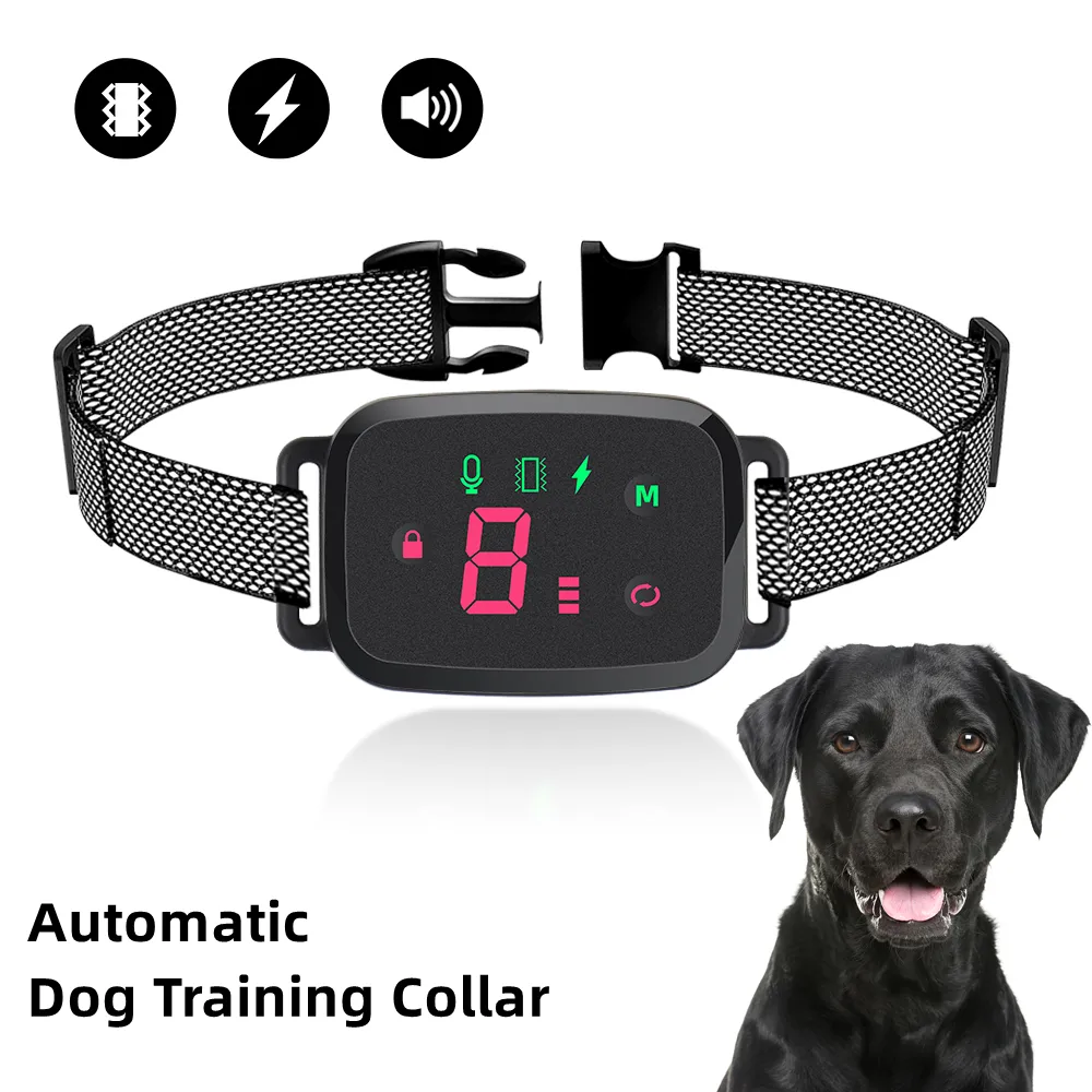 best anti bark