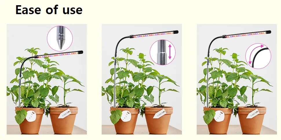 Red And Blue Spectrum Grow Light For Indoor Plants ... From Ddmyday ...