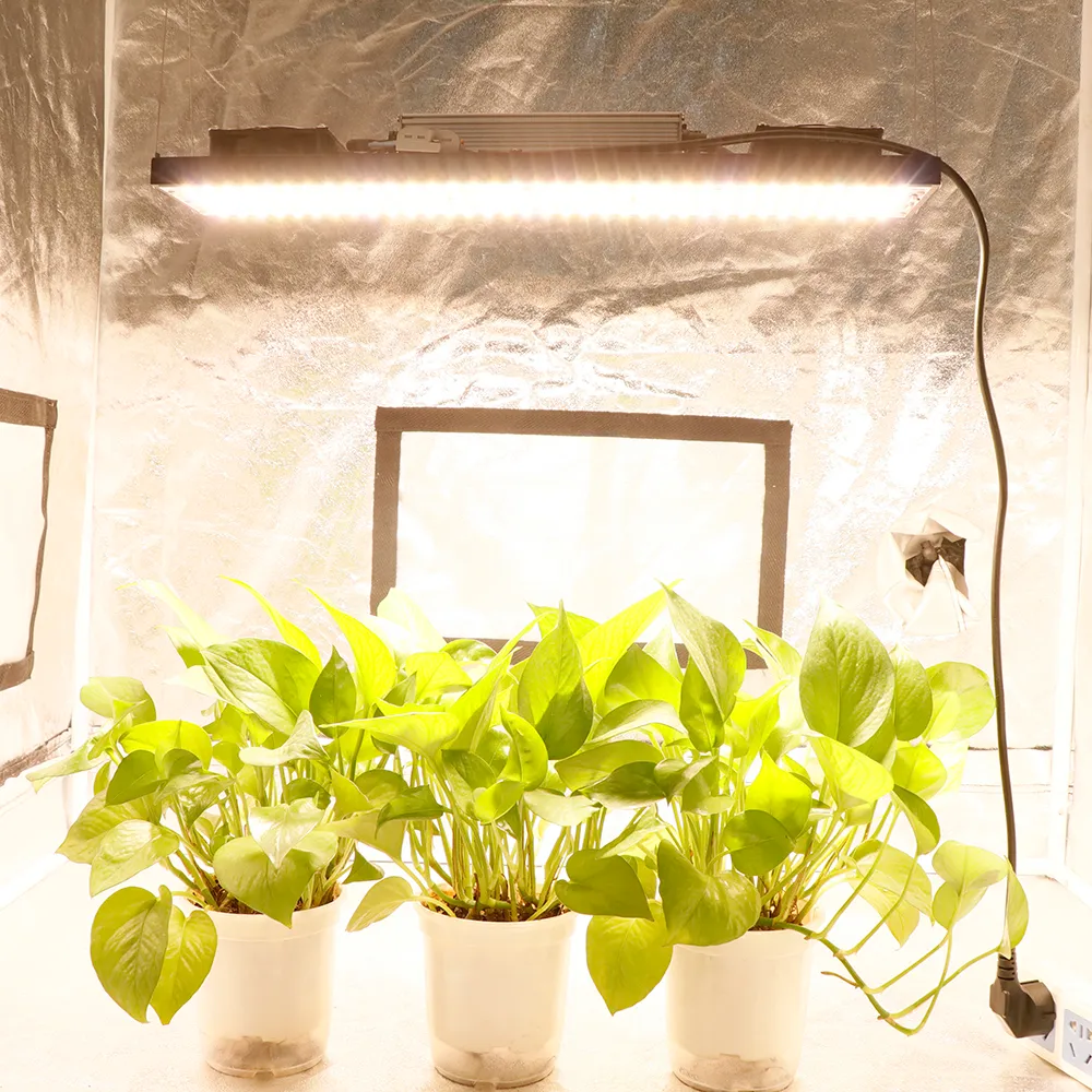 YUXINOU LEDグロウライト 240w