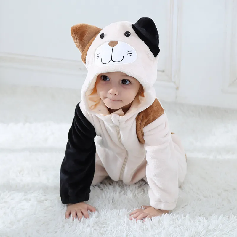 Newborn cat costume discount