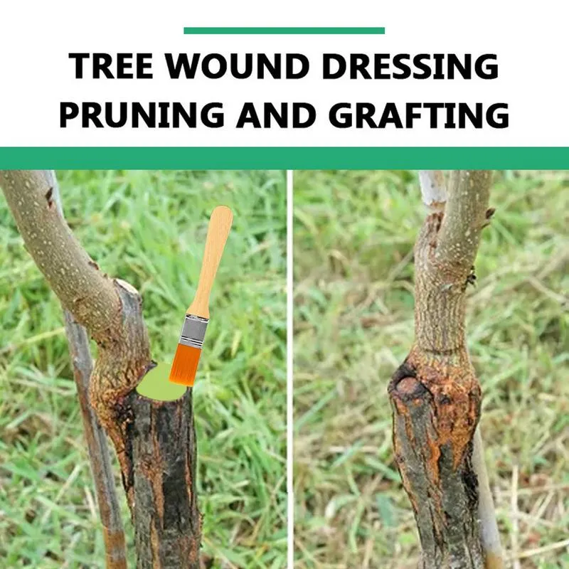 Plant Wound Protection Waterproof Tree Dressing 100g Tree Wound Sealer With  Brush - Pruning & Grafting Paste For Damaged Trees, Bonsai Cut Repair  Bonsai Tree Food Bonsai Grafting Paste