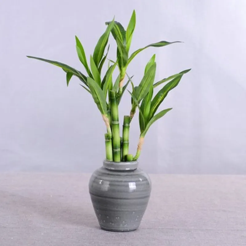 アジアの水槽の装飾人工幸運な竹多工 ...を￥3,251 | DHgate
