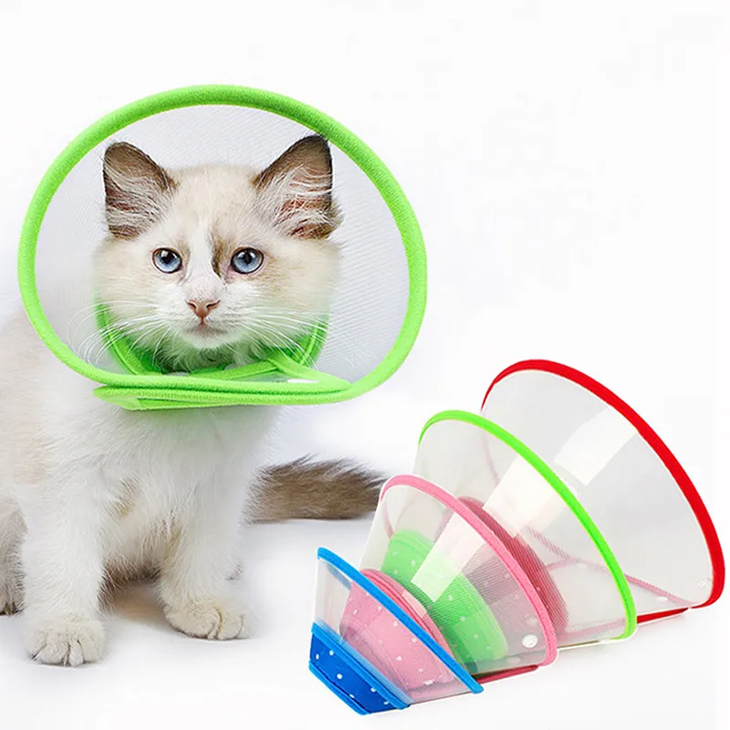 DHgate Cat Recovery Collar Transparent Protective Elizabethan Circle Anti Bite Pet Collar Pet Supplies