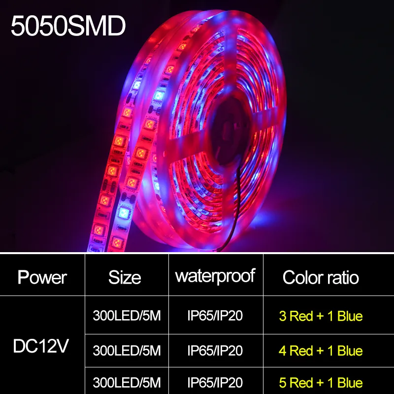 5M Full Spectrum DC 12V LED Plant Grow Light Strip, SMD5050 Phyto Lamp ...
