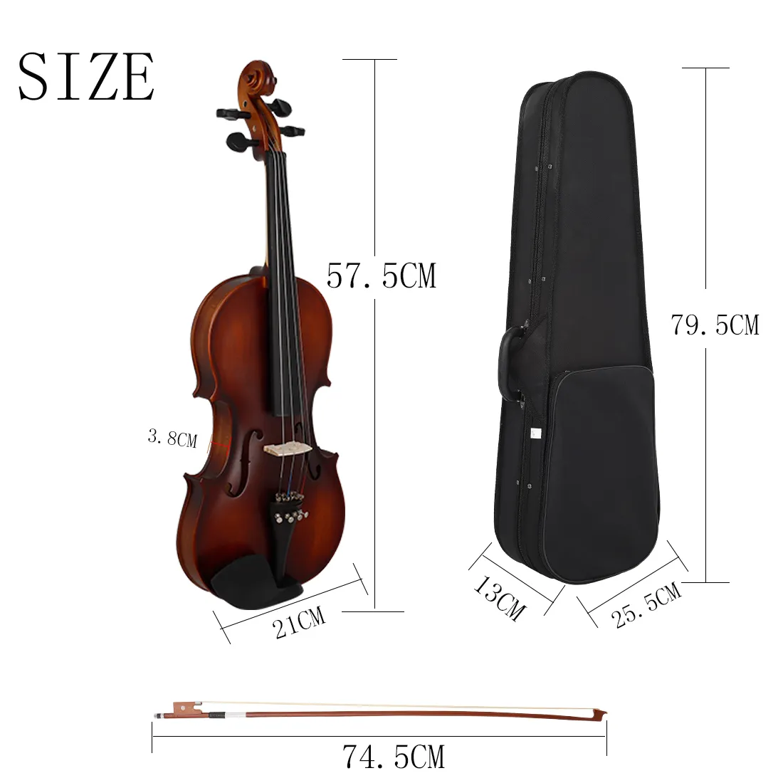 即出荷】 AV-590 Astonvilla Professional with violin set two
