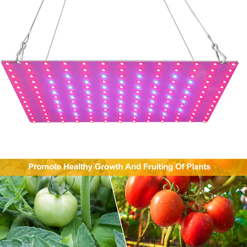 81/169 LEDs Indoor Full Spectrum LED Grow Light Plant Growing Lamp Red ...