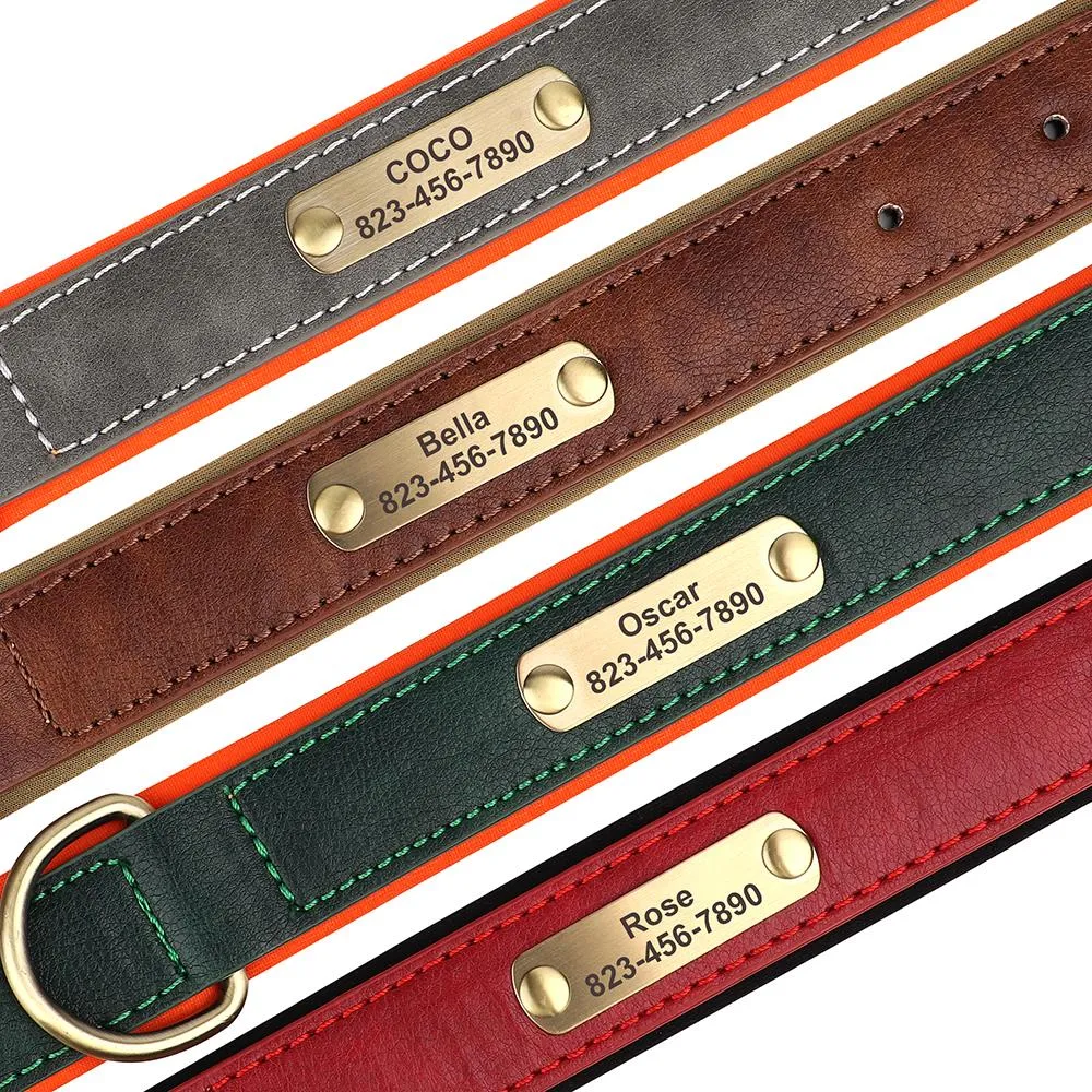 Collare In Pelle Morbida Personalizzato Per Cani Con Targhetta Incisa Gratuita (taglie S-XL)