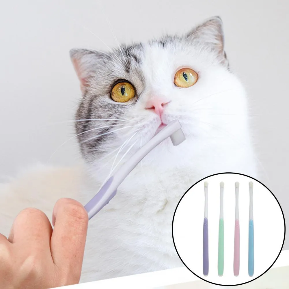 Cat toothbrush petco hotsell