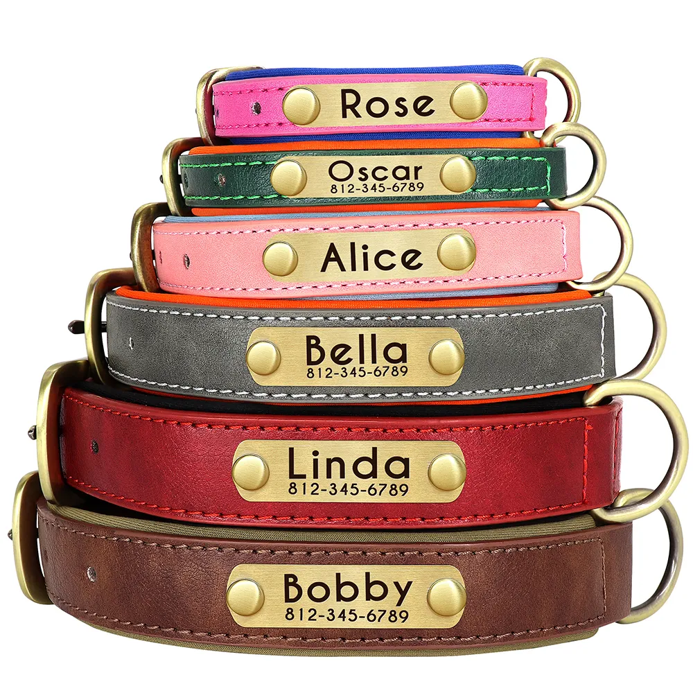 Personalized Dogs Collars - Engraved Name Dog Collar for Large Small Dogs Puppy Custom Dog Name Collars (1W1)(F70) main image 0