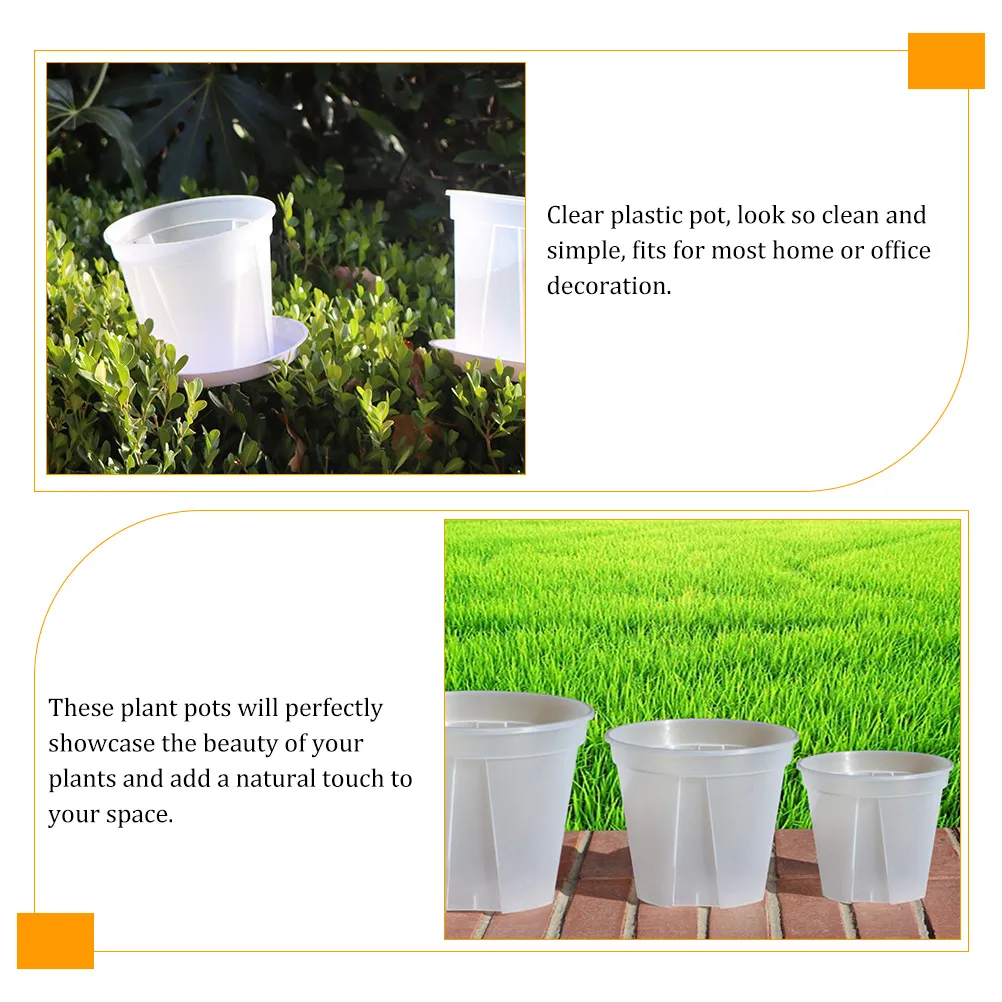 Clear Plant Pots: Transparent Flower Pots For Seedlings, Small ...