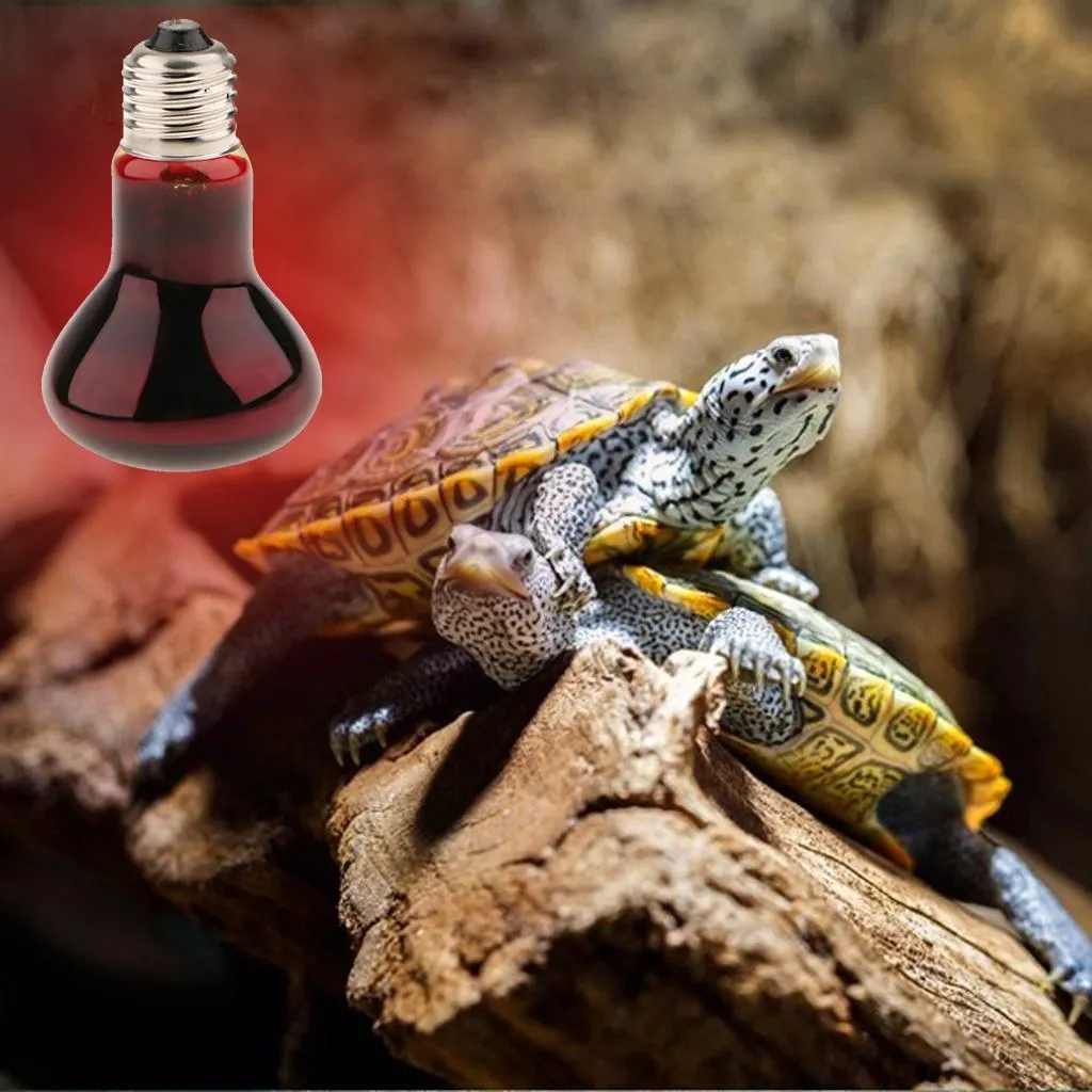 Tortoise Terrarium Heating Lamp UVA Nightlight Bulb for Reptile