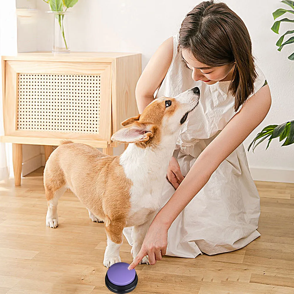 DaVoice Talking Pet Starter Set – 6 Recordable Buttons With Mat – Dog Communication Training Toy
