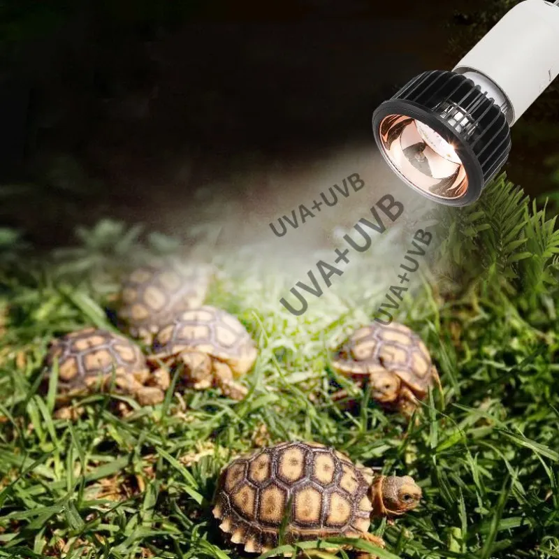 REPTI HOME UVB 10.0 Reptile Light Bulb 13W - Desert UVA UVB Lamp For Bearded Dragons, Lizards, Tortoises, Snakes, Geckos