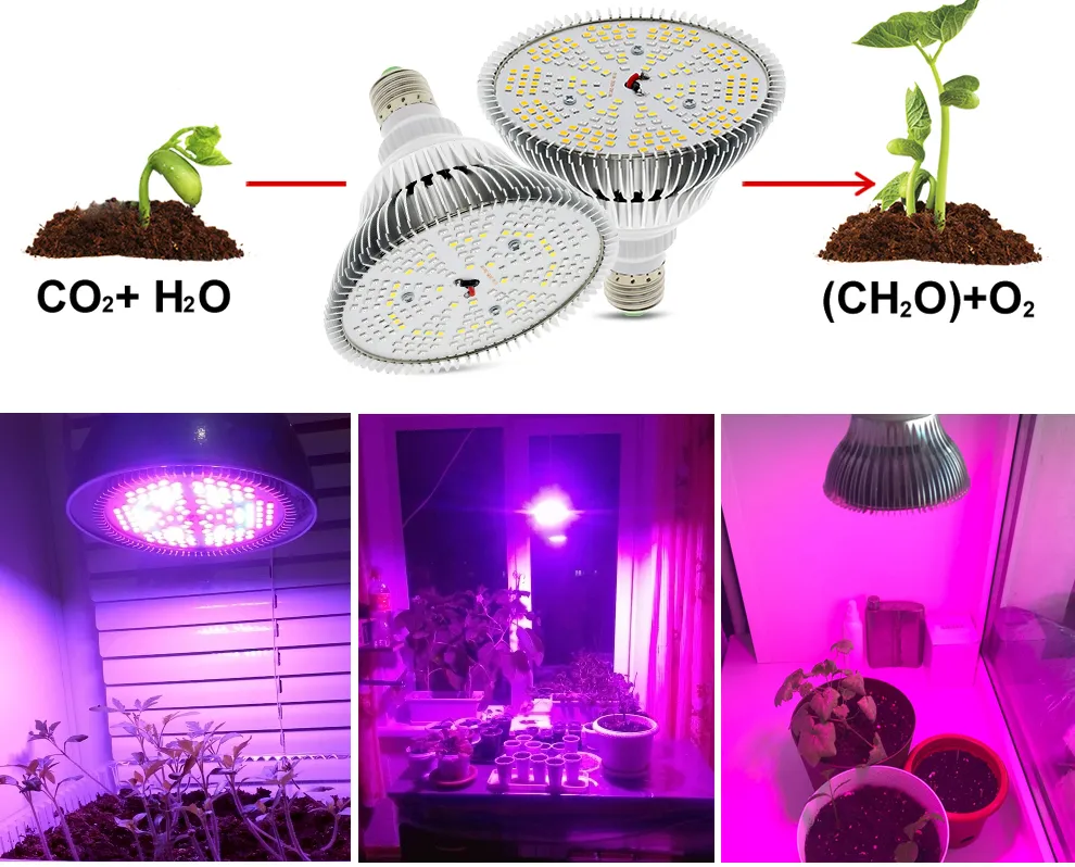 E27 LED Grow Bulb 250W Full Spectrum Phyto Lamp for Hydroponic ...