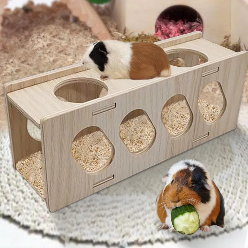 Hamster tubes bulk hot sale