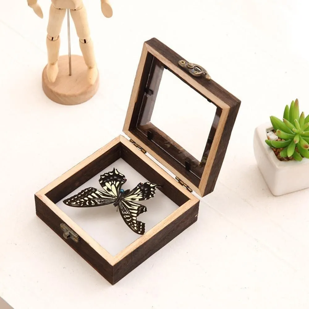 Small Insect Display Box Insect Display Case Wooden Flower Stand: Dried... From Ddmyearth, $46. ...