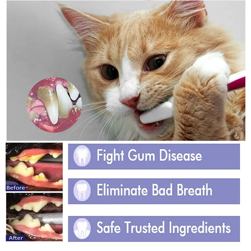 DHgate 2024 Organic Peppermint Dog Cat Toothpaste Whiten Teeth Freshens Breath Natural Pet Supplies Pet Supplies