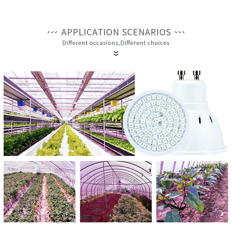 Full Spectrum LED Grow Light Bulbs E27 E14 GU10 MR16 3W-5W 220V ...