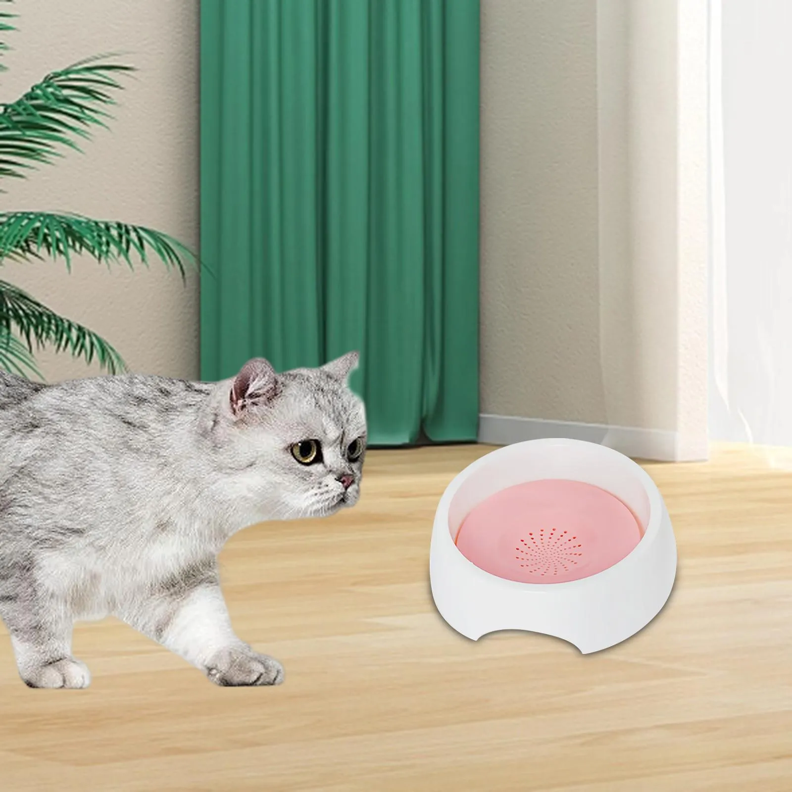 Spill Proof Non Spill Cat Bowl Pet Bowl No Spill Cat Bowl For Cats