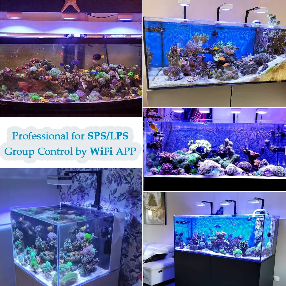 Curated visual reference: Reef Tank Lighting For Viewing Fish During Cleaning Reference: 100W WiFi Led Reef Aquarium Lighting Optimal Coral Growth Saltwater