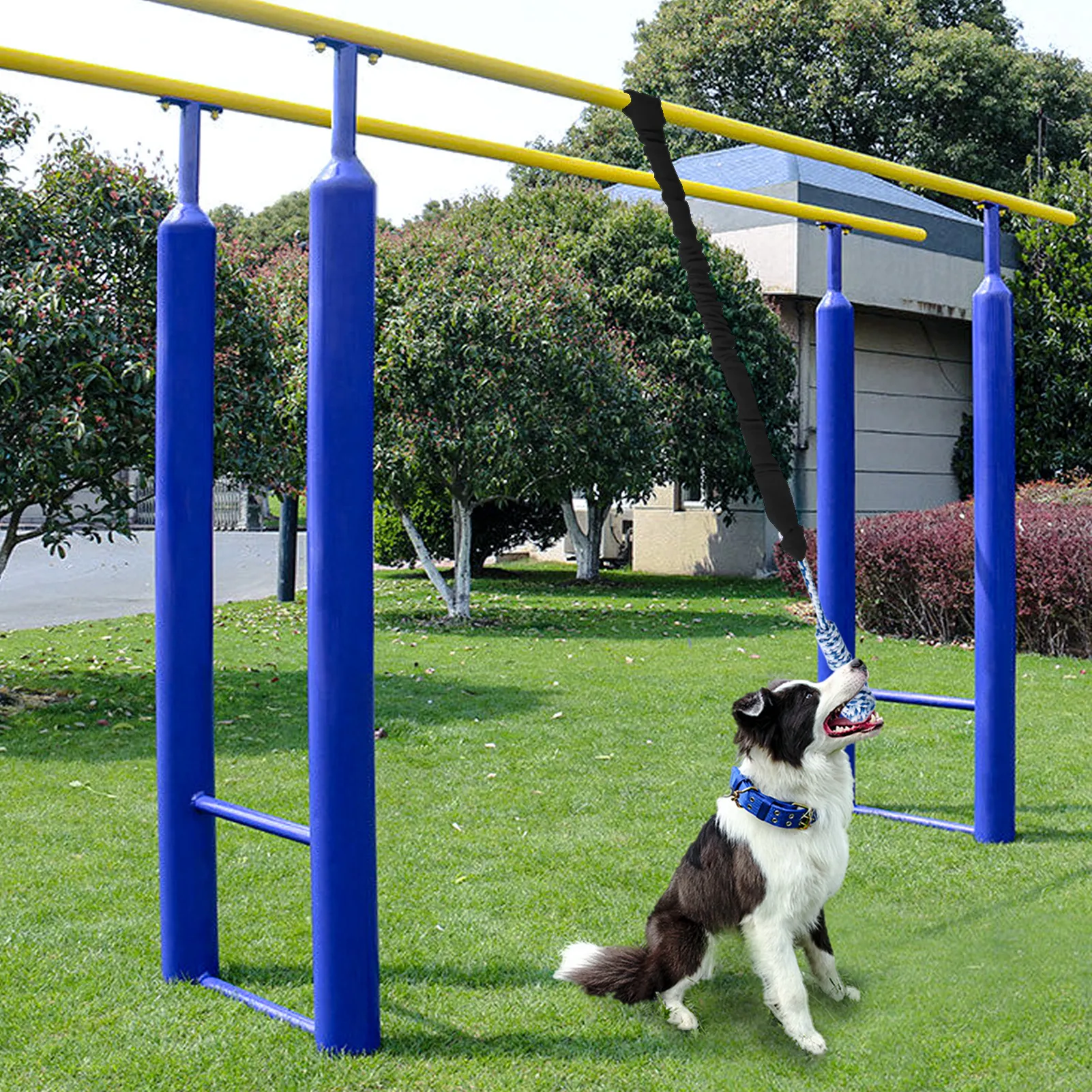 Tether Tug Outdoor Dog Ball Dog Tree Tug Toy AiPITE Bungee Tug Toy