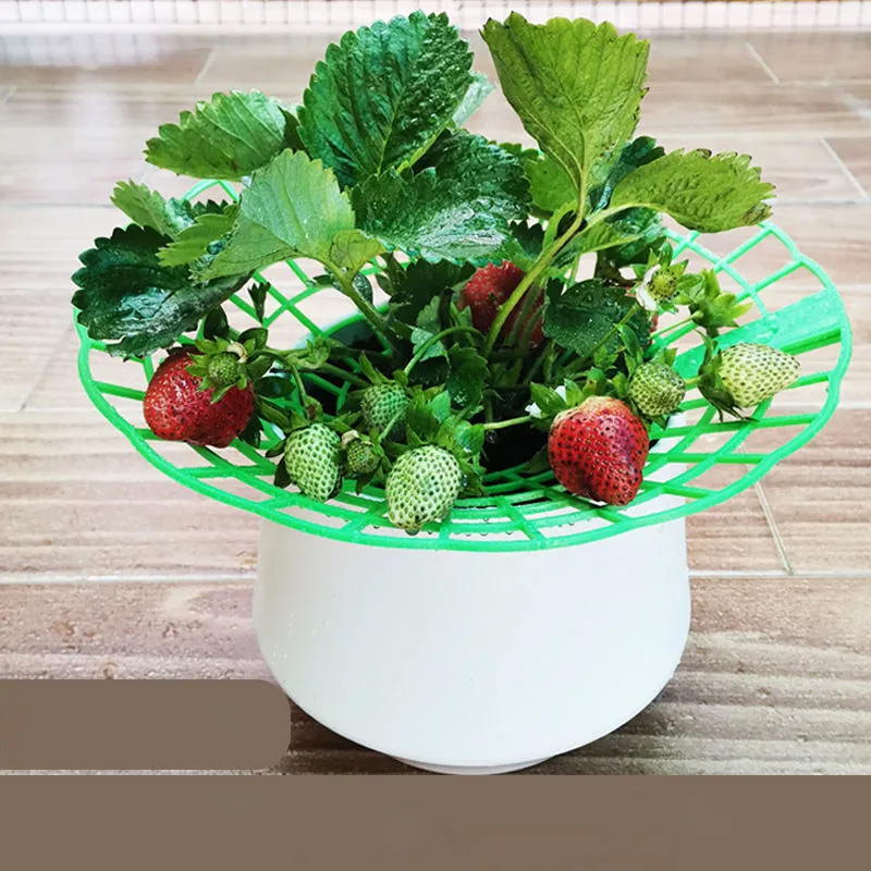 5/Round Plastic Plant Stand with Trellis Support for Strawberry Fruit  Flower Climbing Vine from Dhgate Sprayers - price 37.66