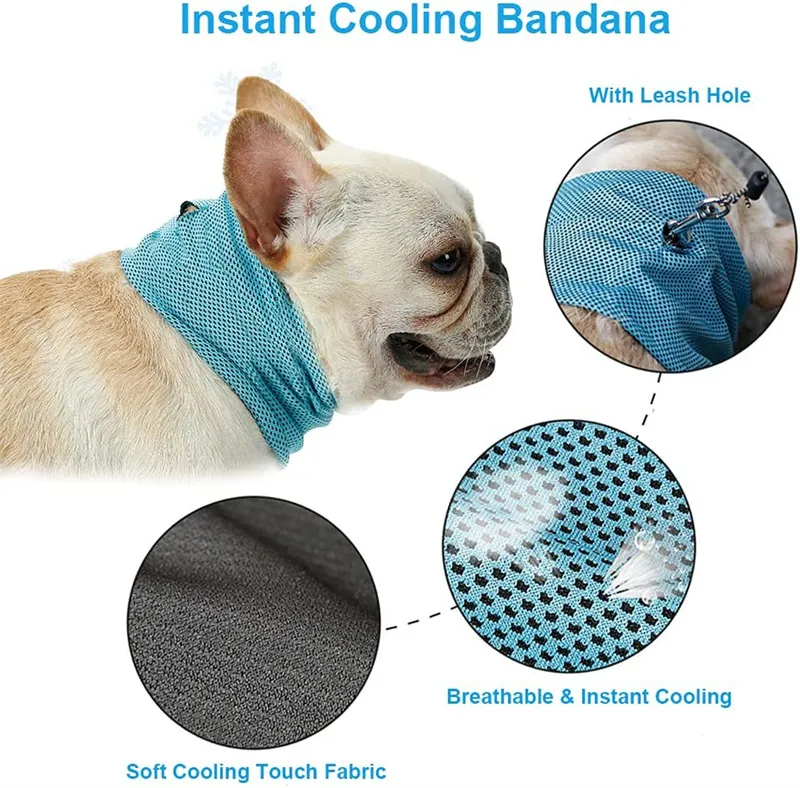 Summer Ice Dog Collar Faux Leather Step-In Small Size with Leash Hole for  Outdoor Use from Dhgate Dog Leashes - price 65.27