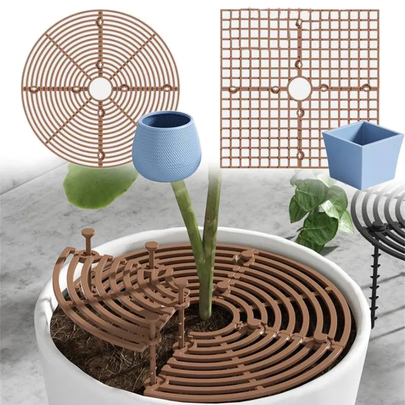 plants for animals Plant Animals – Diameter Plants main image 0