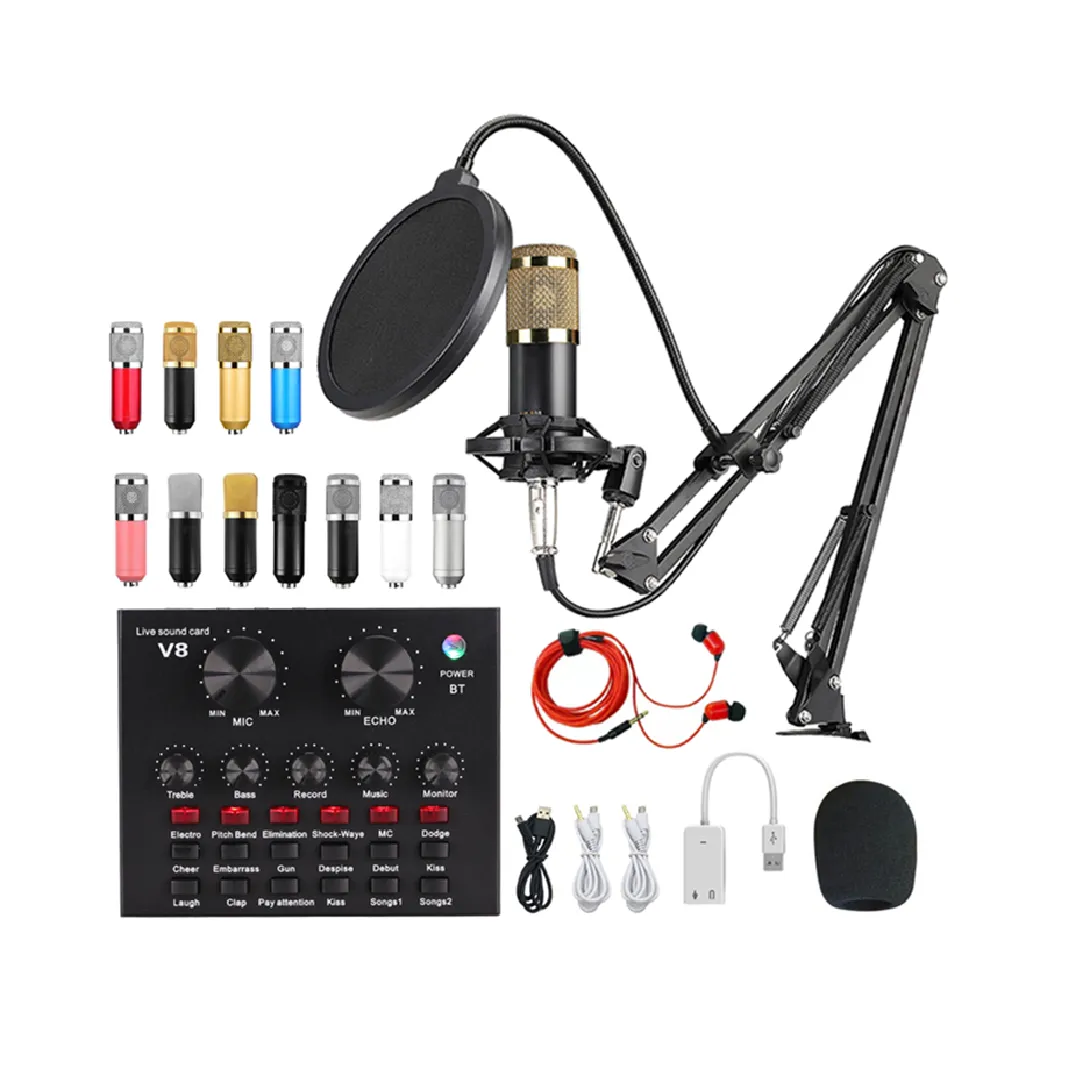 BM800 Professional Condenser Microphone Large Diaphragm Wired USB