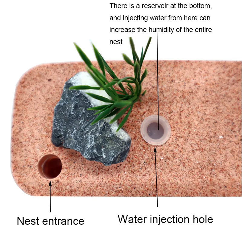 Plaster Insect Kit Natural Ecological Insect Box House With Plaster And Ant Nest 12x6x10cm ...