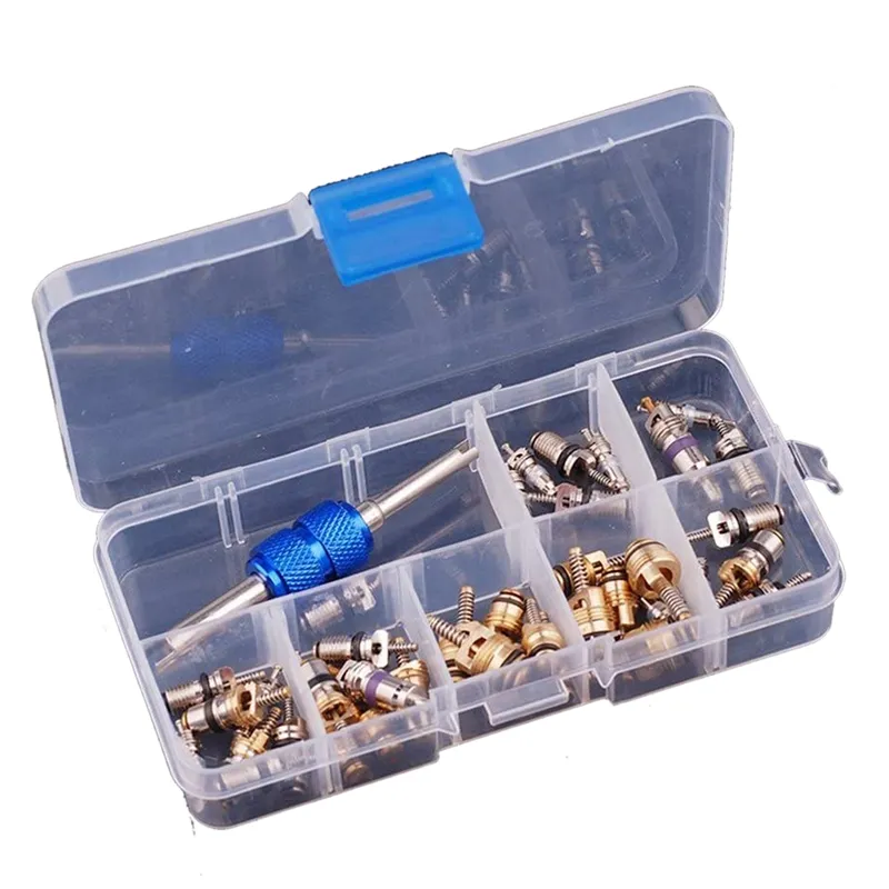 40-Piece Car AC Valve Core Kit - R12 & R134a Valve Cores, High/Low Side Cores, Remover Tool | For Most Cars