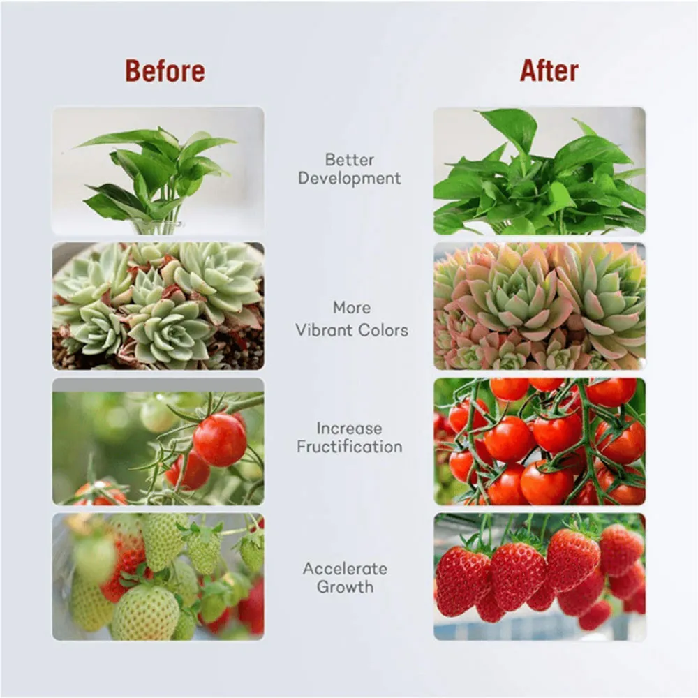 LED Grow COB Chip Full Spectrum Grow Light Phyto Lamp AC 110V 220V 20W ...
