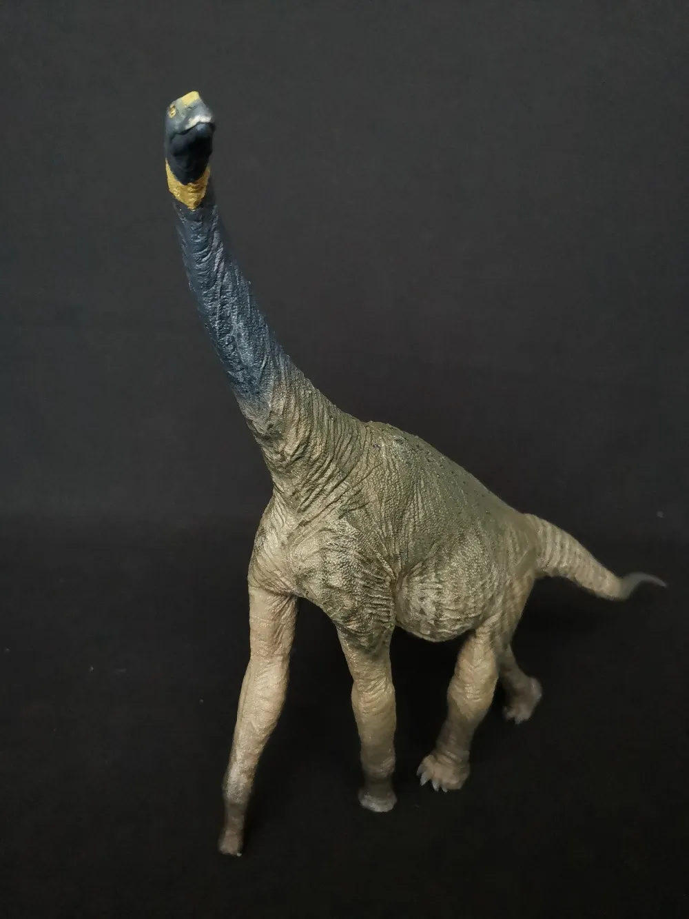 Atlasaurus & Sauropoda spinosaurus dinosaur 1:40 Scale - Prehistoric ...