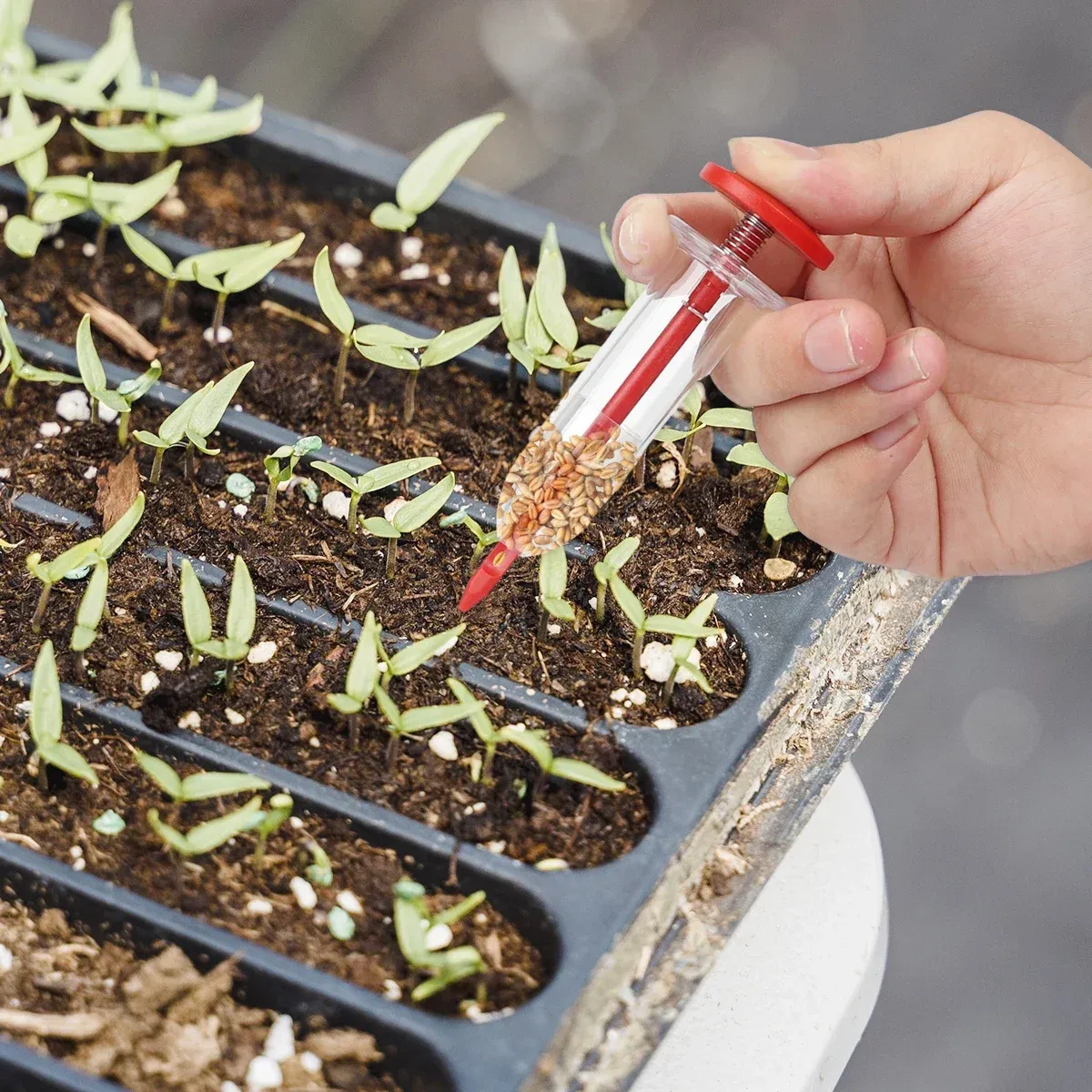 Syringe Seeder Mini Handheld Seed Dispenser for Small Seeds in Garden Pots  and Flower Beds from Dhgate Electric Saw - price 18.02