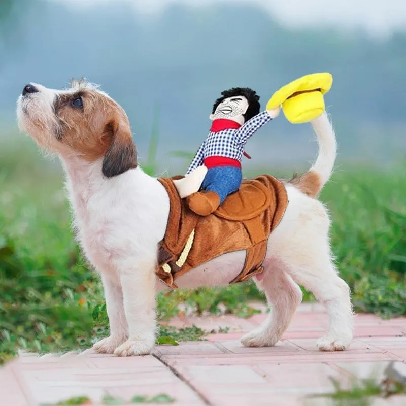 Catdog costume for dog 2025