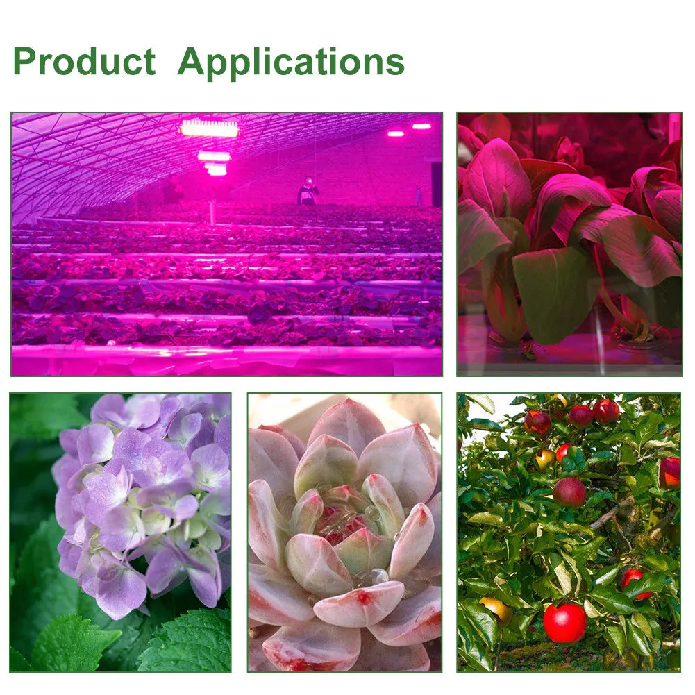 LED Grow COB Chip Full Spectrum Grow Light Phyto Lamp AC 110V 220V 20W ...