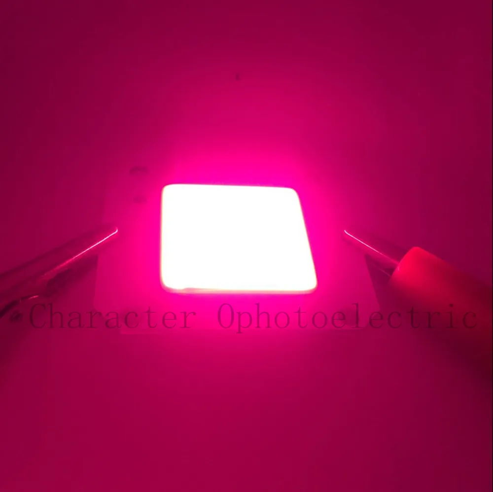 50W COB LED Grow Light, Full Spectrum Plant Light for Hydroponic Indoor ...