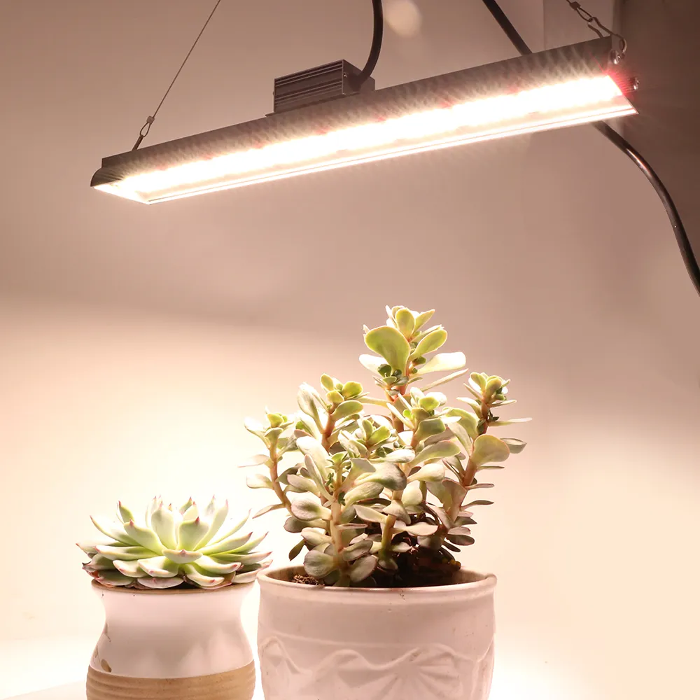 260W 280W 300W LED Grow Light Full Spectrum Warm Lighting Plant Grow ...