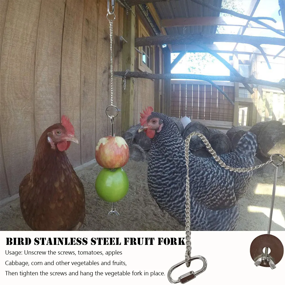 Chicken Feeder Hen Veggie Skewer Fruit Holder Hanging Foraging Toy