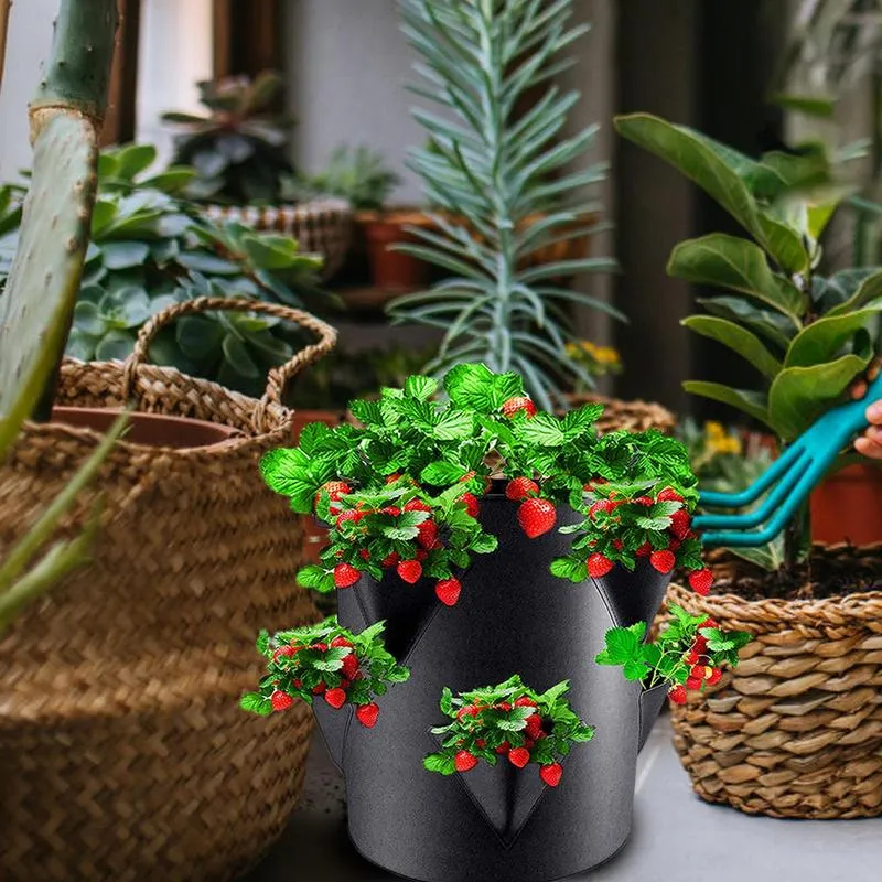 Garden Grow Bags 7 Gallon Plant Fiber Vegetable Planter Fabric Outdoor Gardening  Pots from Dhgate Other Pools & SpasHG - price 20.74