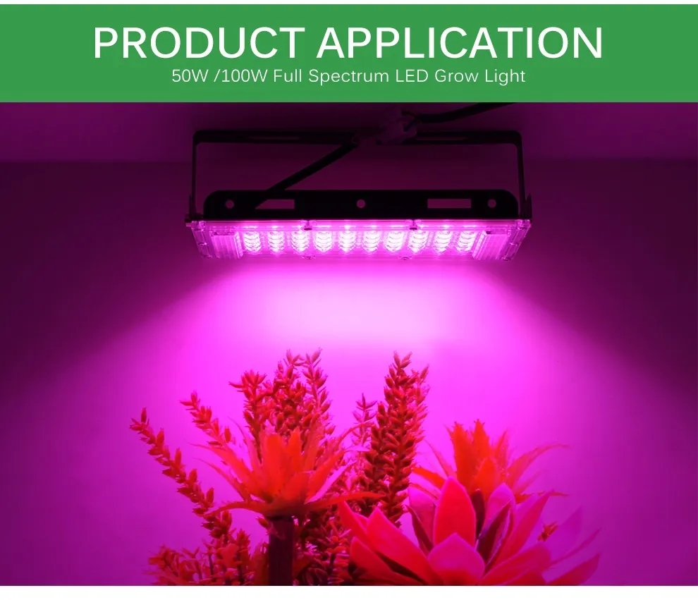 LED Grow Light AC220V 50W 100W Full Spectrum Phyto Lamp for Greenhouse ...