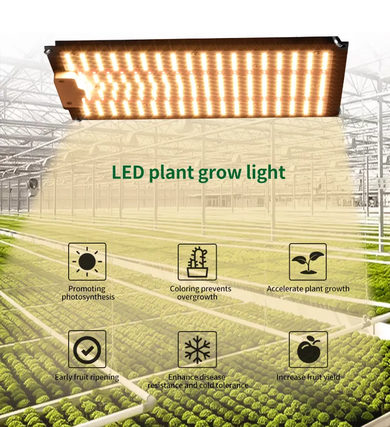 Samsung 1000W Dimmable Full Spectrum LED Plant Growth Light 3500K 5000K ...