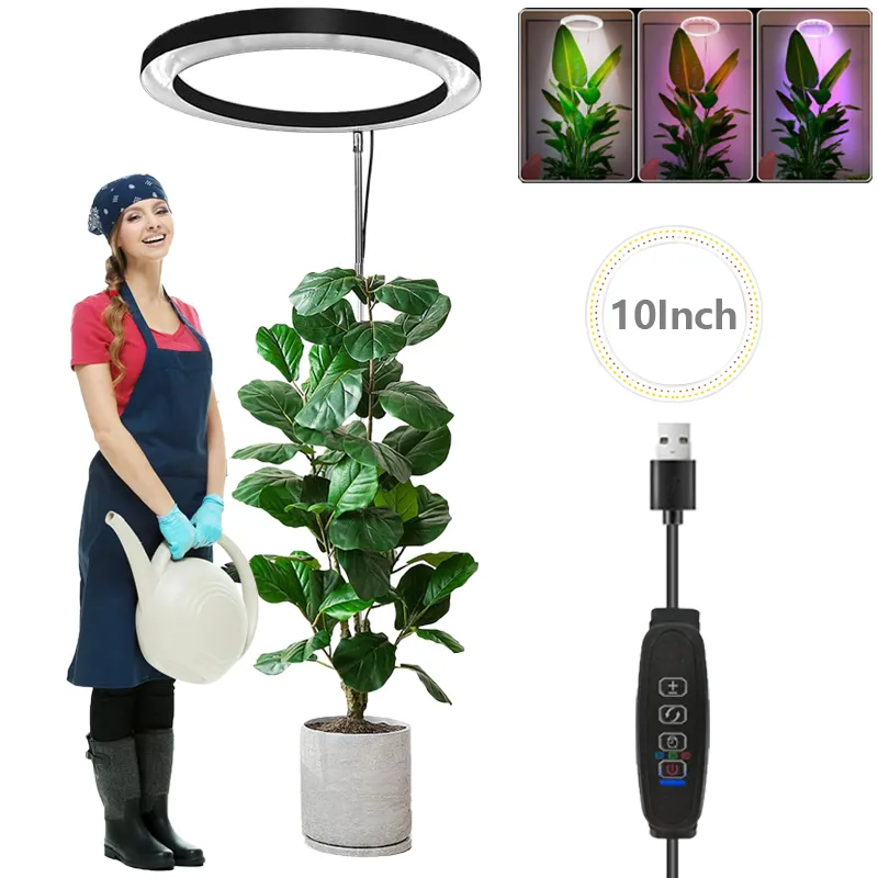 10" Full Spectrum Grow Light For Indoor Plants – 160 LEDs, Height Adjustable, Timer 3/9/12H, 9 Dimming Levels For Large Plants