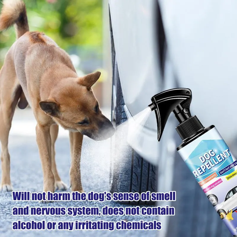 Natural urine deterrent dogs online