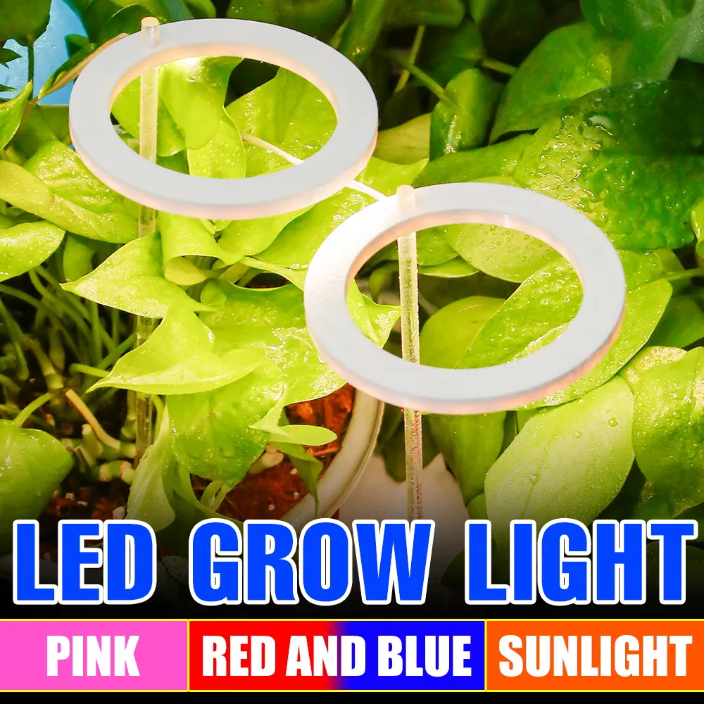 LED Grow Light Lamp Full Spectrum Phyto Lamp for Indoor Plants USB ...