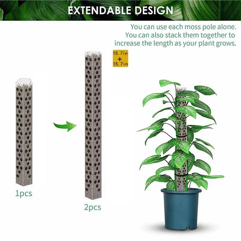 Plastic Moss Pole Plant Climber Support PVC Stackable Moss Stick for Indoor  Creepers from Dhgate Other Pools & SpasHG - price 51.67