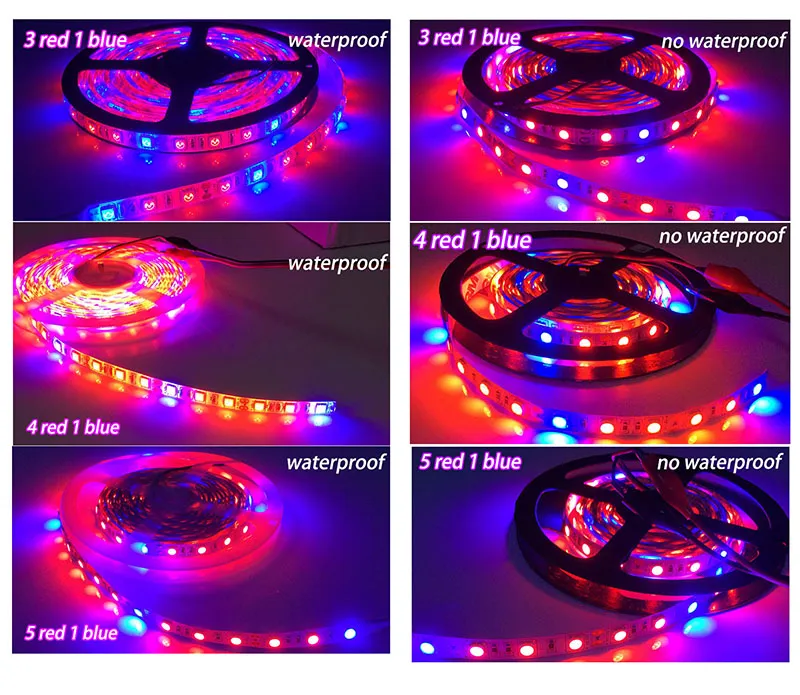 5M LED Plant Grow Lights Strip 5050 Chips Phyto Lamp For Indoor Veg ...
