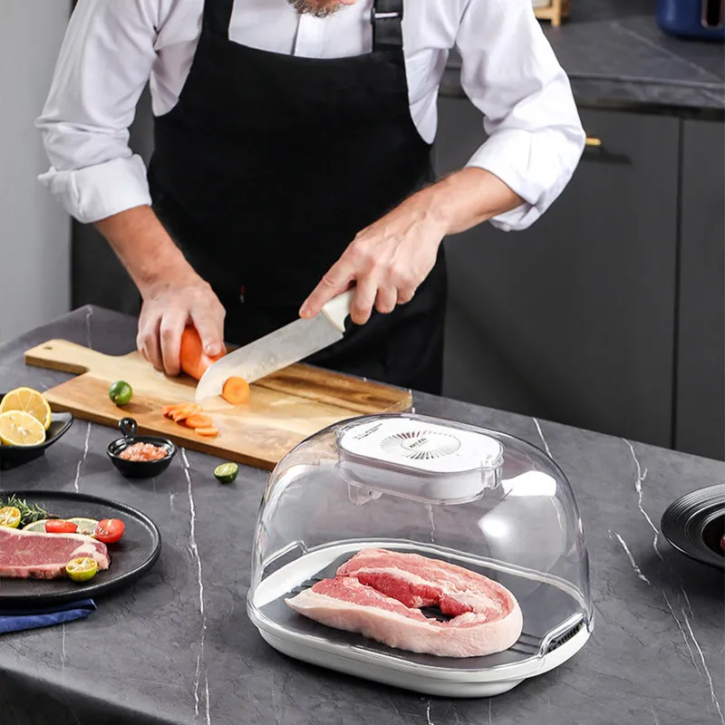 Fast Natural Thawing For Meat Seafood Blazing