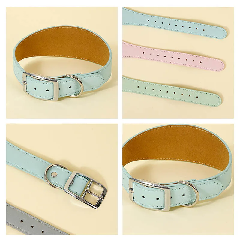 Padded greyhound collars online